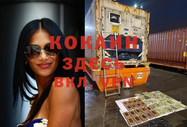 тгк Новозыбков