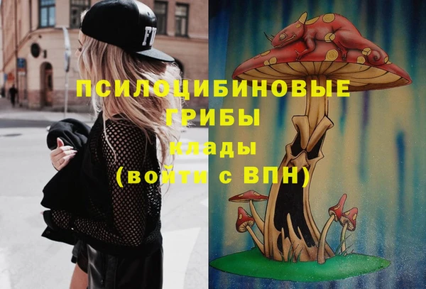 соль курить ск Алзамай